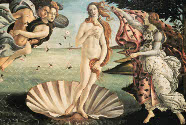 venere del botticelli