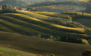 Chianti Afternoon Guided Tour - Chianti Tour - Florence Museum